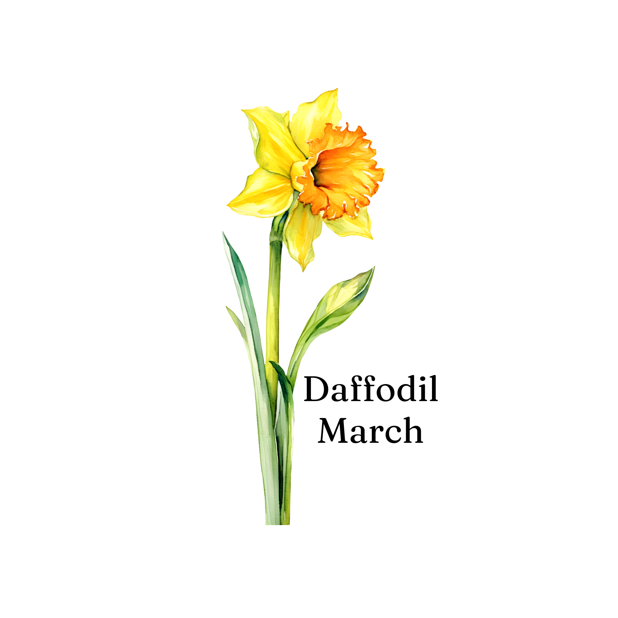 Birth Month Flower Cup
