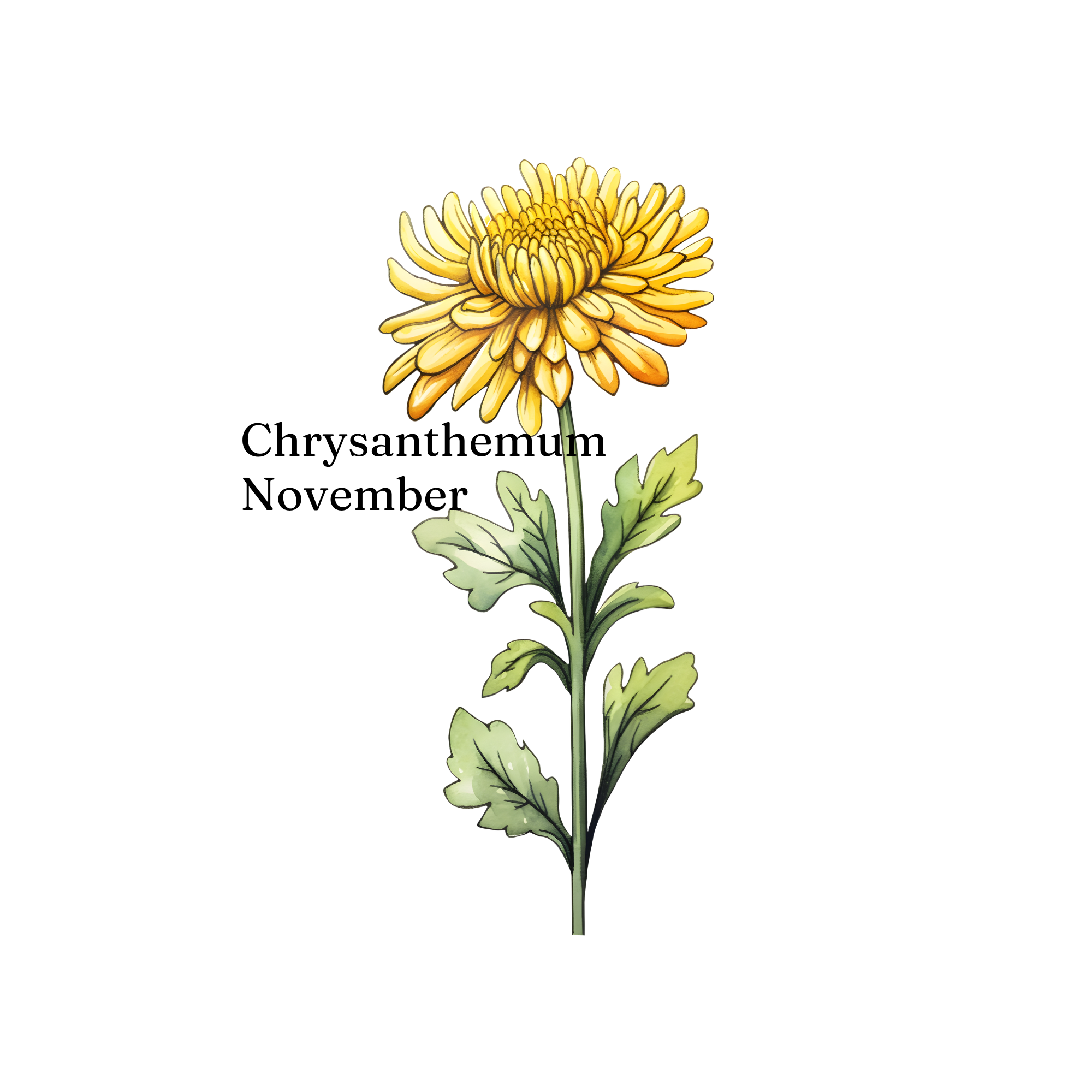 Birth Month Flower Cup