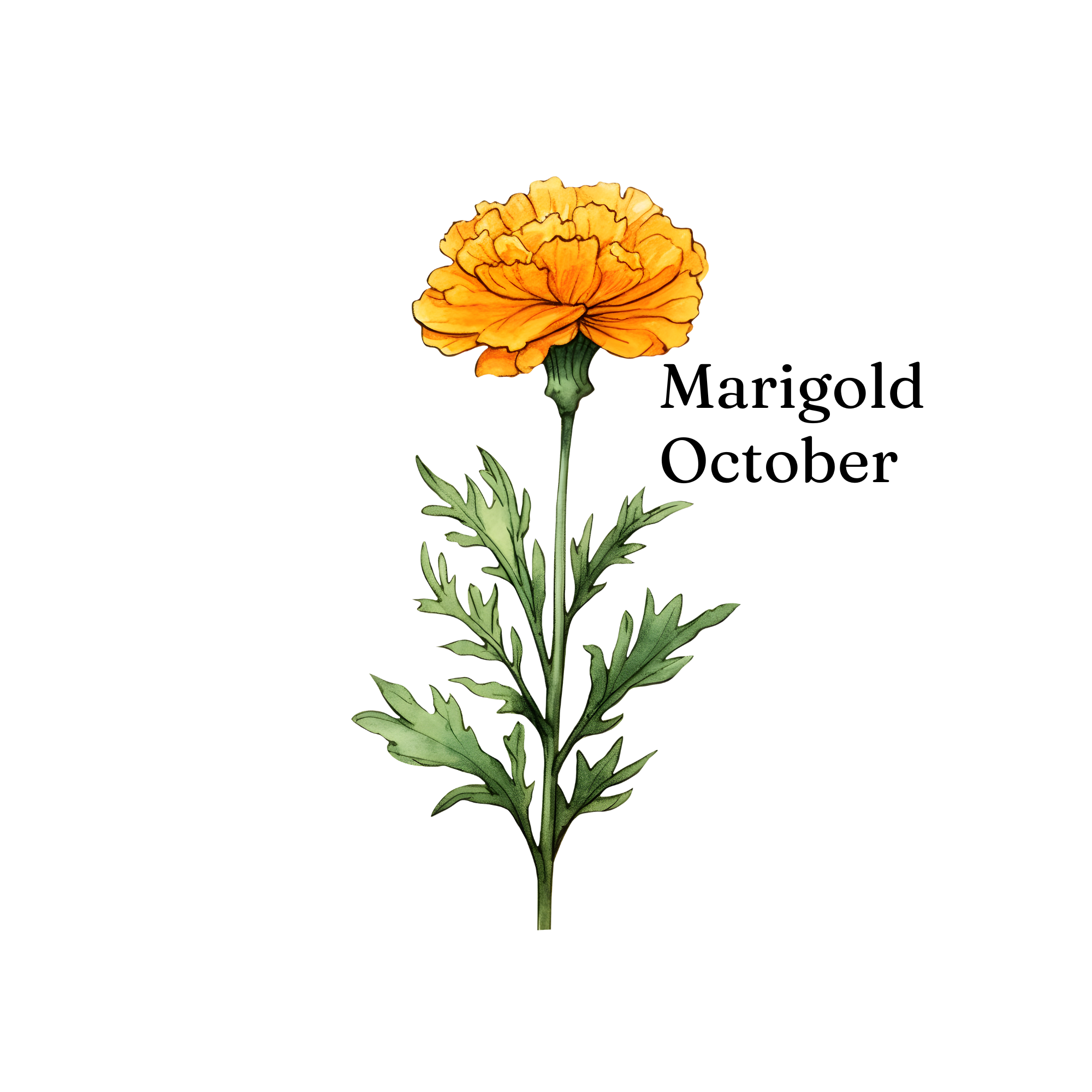 Birth Month Flower Cup